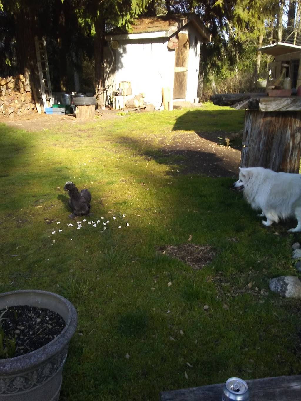 Dupuis Restaurant | restaurant | 256861 US-101, Port Angeles, WA 98362, USA | 3604578033 OR +1 360-457-8033