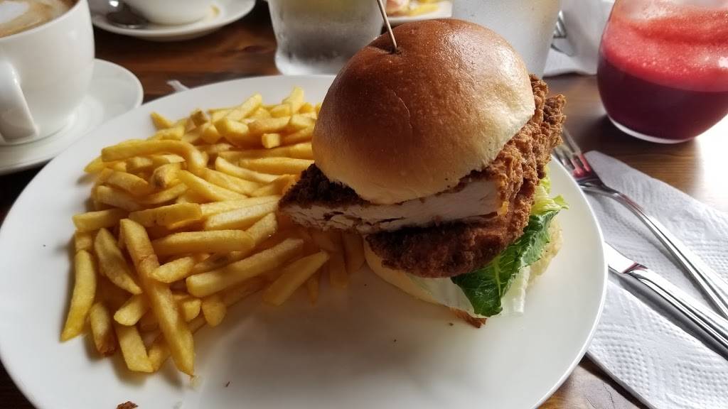 Terra | cafe | 1716 Sheepshead Bay Rd, Brooklyn, NY 11235, USA | 7186753939 OR +1 718-675-3939