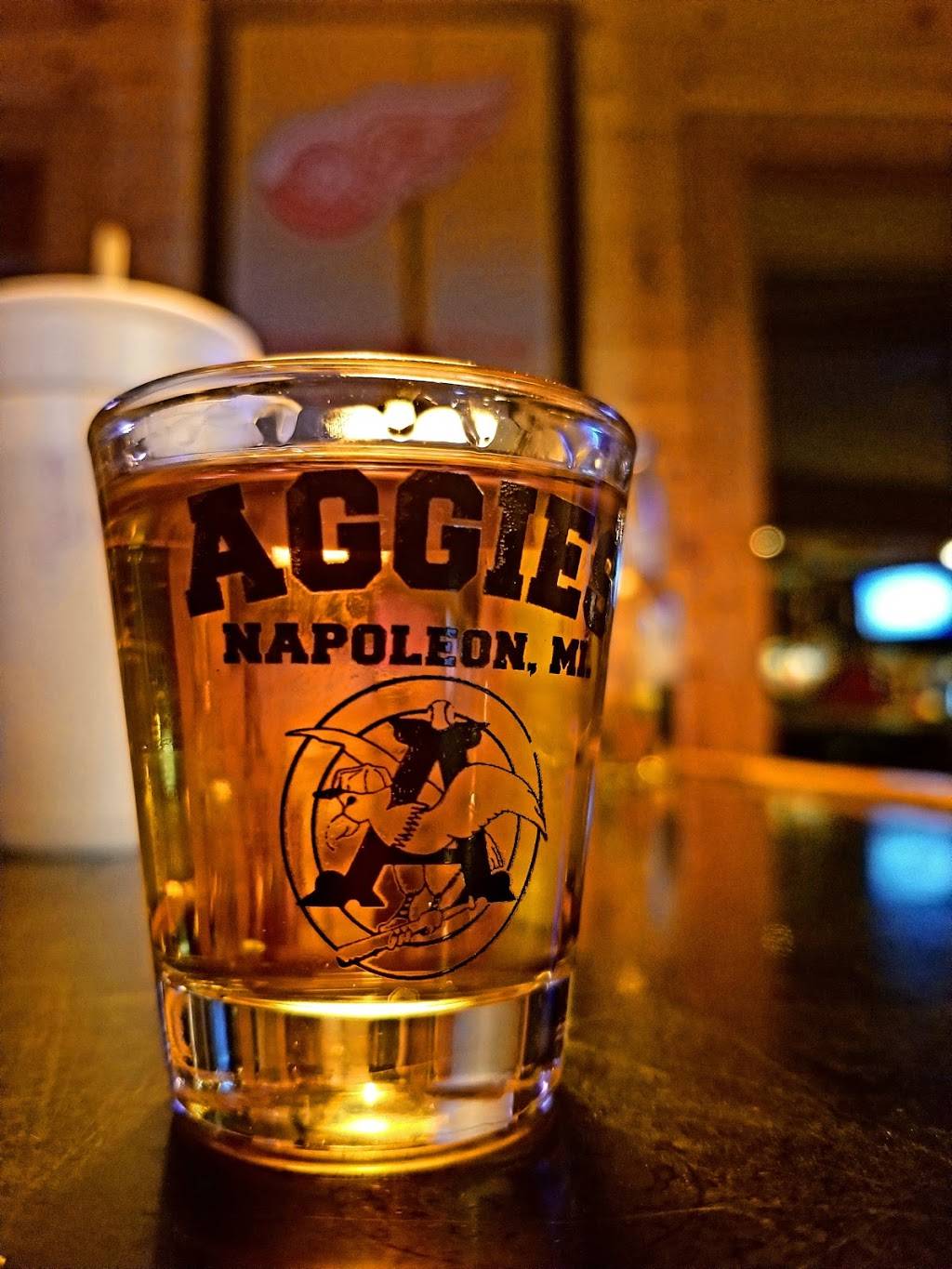 Aggies Sports Bar | restaurant | 108 S, Brooklyn Rd, Jackson, MI 49201, USA | 5175368059 OR +1 517-536-8059