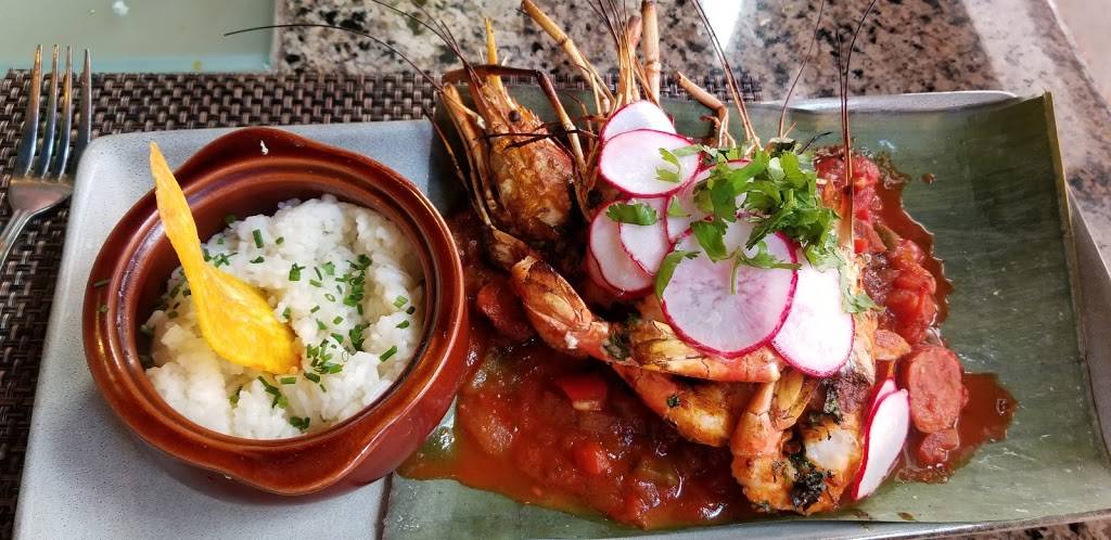 Darwin Evolutionary Cuisine | restaurant | 4141 S Tamiami Trail Suite#16, Sarasota, FL 34231, USA | 9412605964 OR +1 941-260-5964