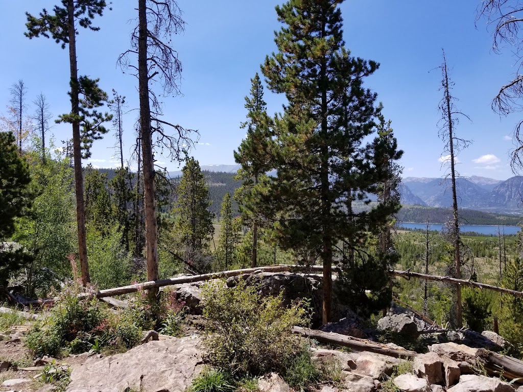 Moose Cafe | restaurant | 115 W Park Ave, Kremmling, CO 80459, USA | 9707249987 OR +1 970-724-9987