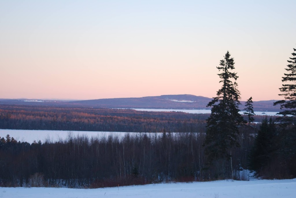 First Settlers Lodge | restaurant | 341 US-1, Weston, ME 04424, USA | 2074483000 OR +1 207-448-3000