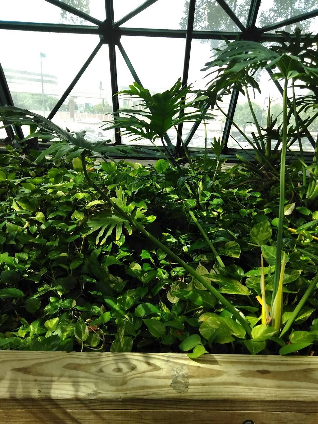 Cypress Cafe | restaurant | 84 NE Interstate 410 Loop, San Antonio, TX 78216, USA | 2103486455 OR +1 210-348-6455