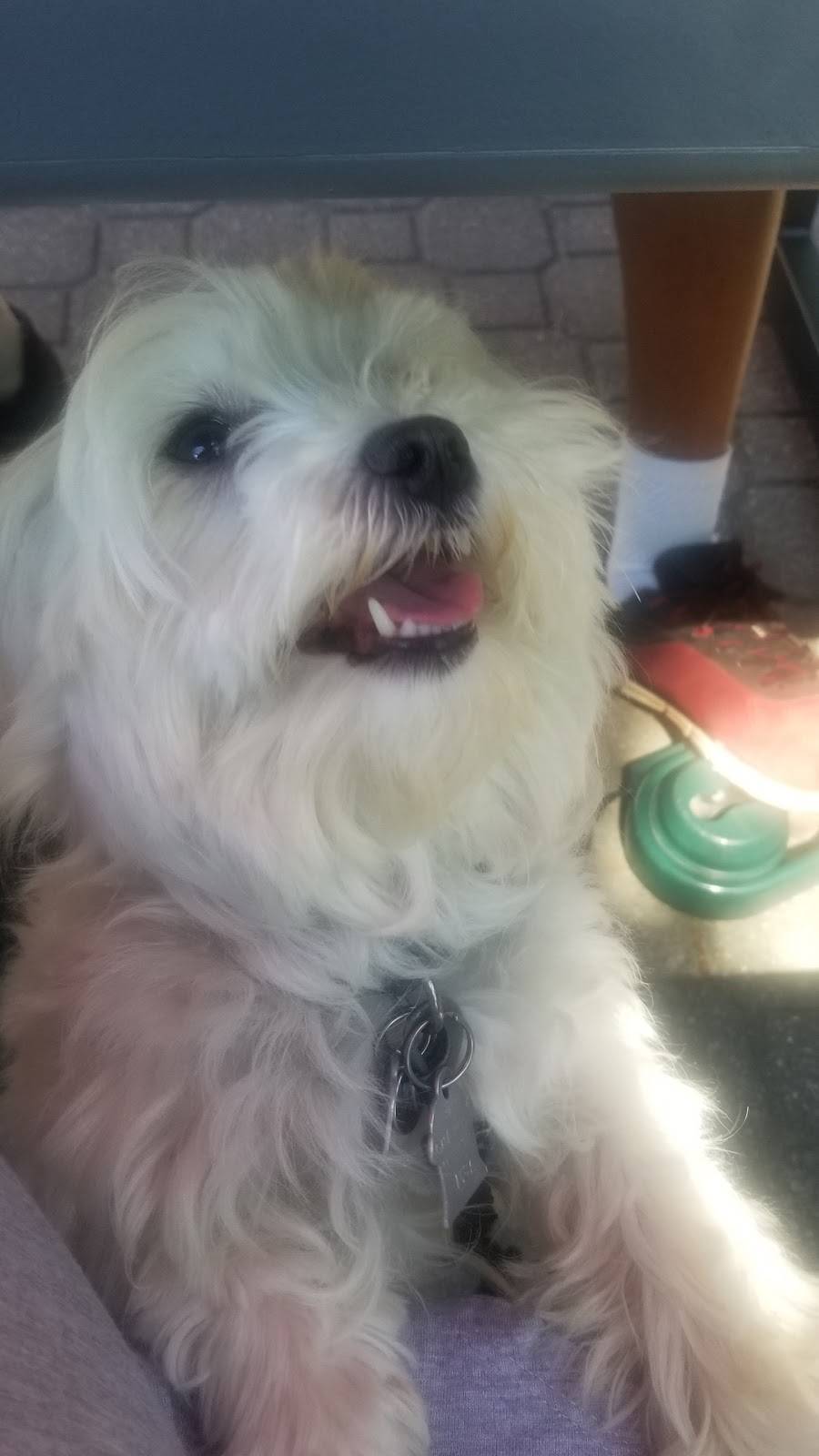 Restaurant Le Frisson | restaurant | 108 Rue Principale, Châteauguay, QC J6J 5M8, Canada | 4506921642 OR +1 450-692-1642