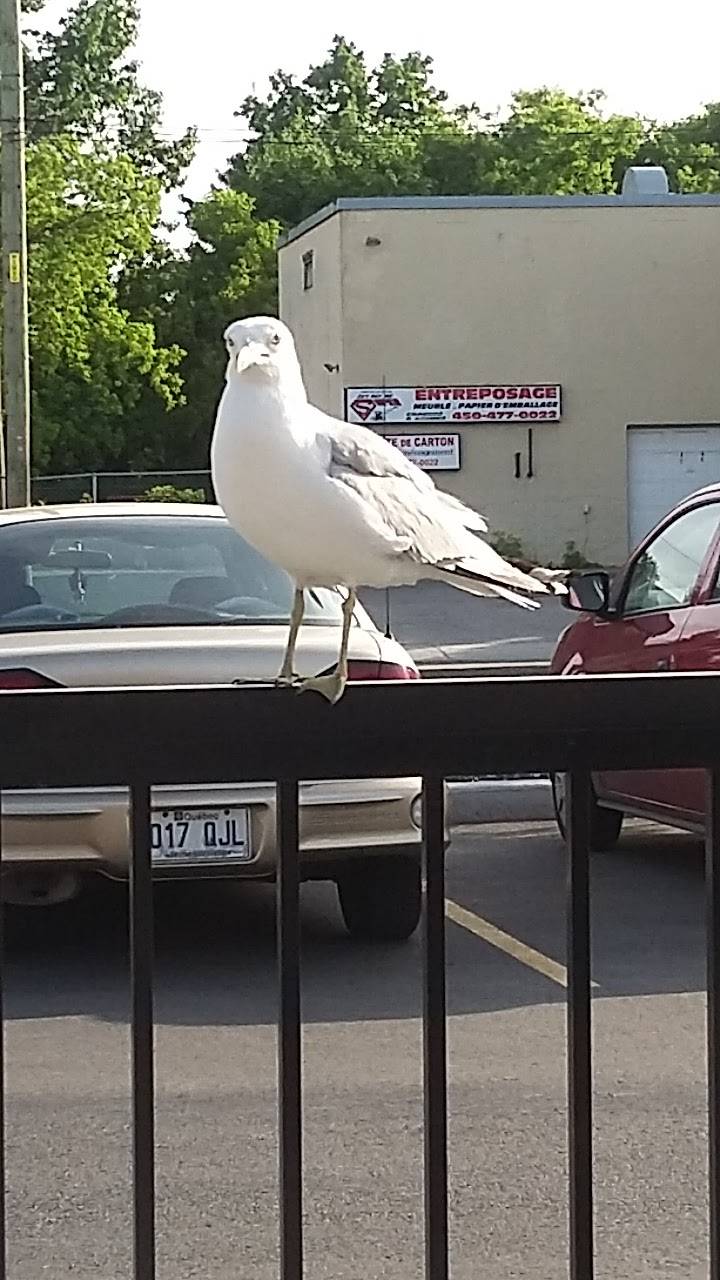 Valentine | restaurant | 3645 Chemin Gascon, Mascouche, QC J7L 3X6, Canada | 4503251110 OR +1 450-325-1110