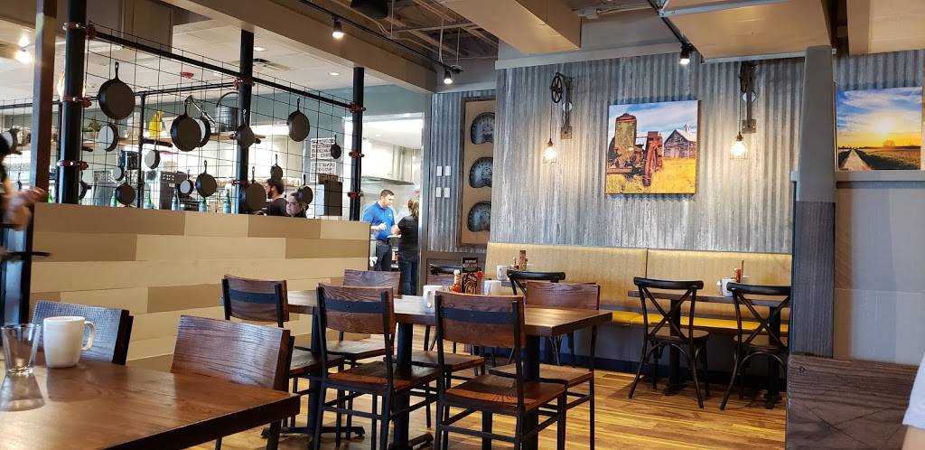 First Watch - Miami Lakes - Now Open! | cafe | 16935 NW 67th Ave, Hialeah, FL 33015, USA | 7867858600 OR +1 786-785-8600