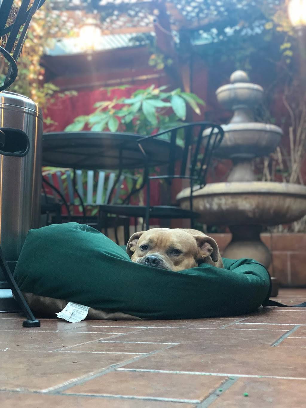 Torelli Trattoria | restaurant | 7469 Melrose Ave, Los Angeles, CA 90036, USA | 3234337065 OR +1 323-433-7065