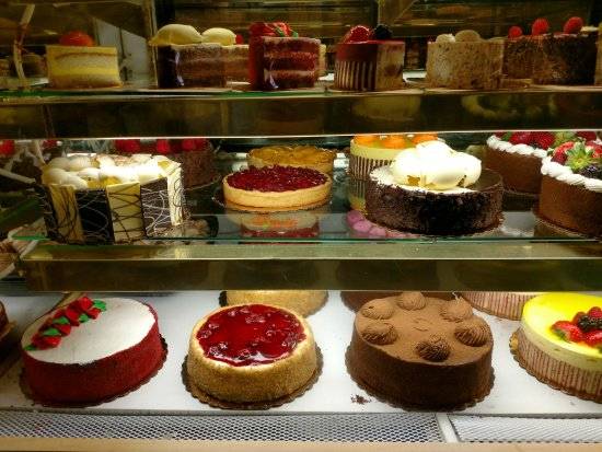 Paradise cafe | restaurant | 4810 E Busch Blvd, Tampa, FL 33617, USA | 8138429404 OR +1 813-842-9404