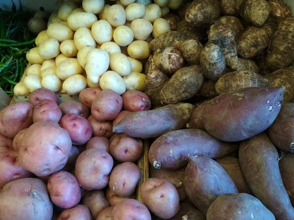 Royal India | restaurant | 122 Lancaster Ave, Malvern, PA 19355, USA | 6105400252 OR +1 610-540-0252