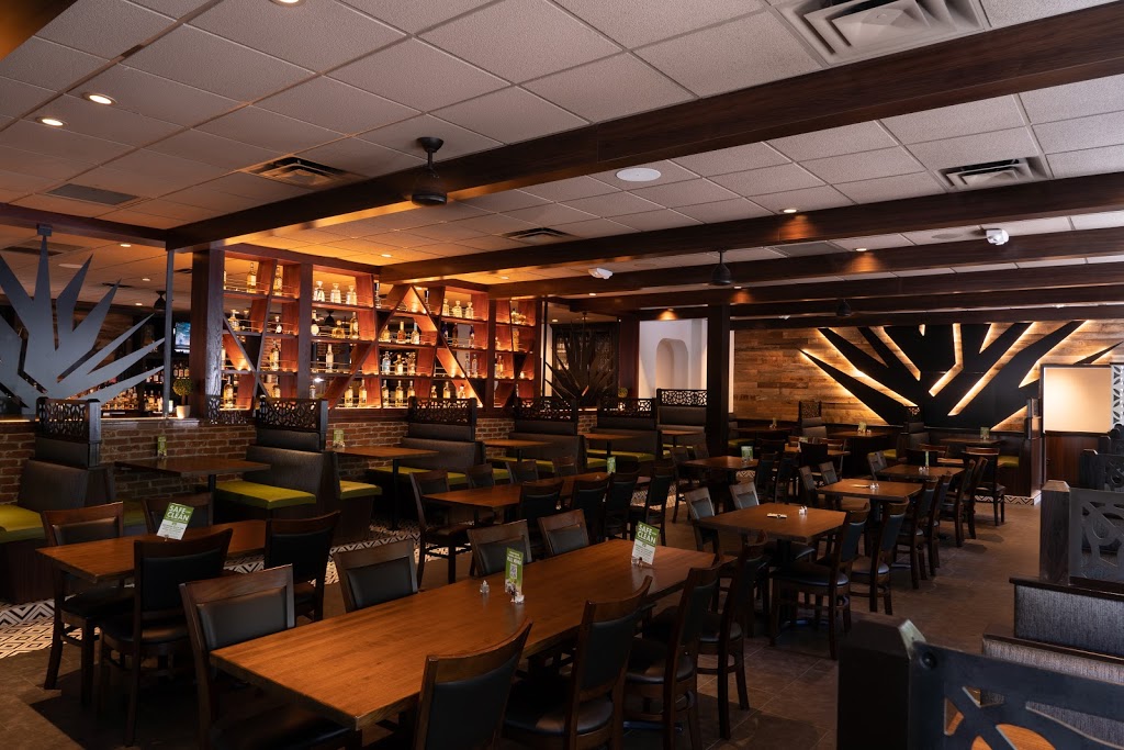 Senor Tequila Mexican Grill - Wesley Chapel | restaurant | 1640 Bruce B Downs Blvd, Wesley Chapel, FL 33544, USA | 8134285411 OR +1 813-428-5411