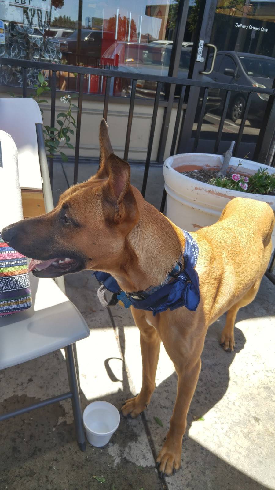 Troys Greek Restaurant | meal takeaway | 10450 Friars Rd suite t, San Diego, CA 92120, USA | 6192817741 OR +1 619-281-7741