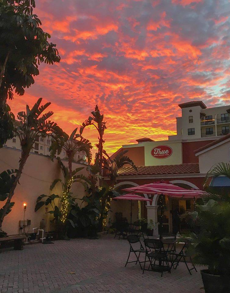 True Restaurant | restaurant | 147 SE 1st Ave., Boca Raton, FL 33432, USA | 5613342144 OR +1 561-334-2144