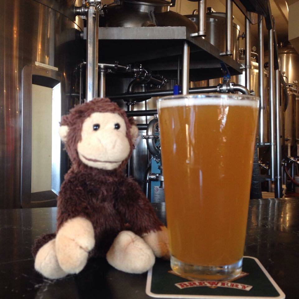 Backstreet Brewery | restaurant | 14450 Culver Dr F, Irvine, CA 92604, USA | 9498570160 OR +1 949-857-0160