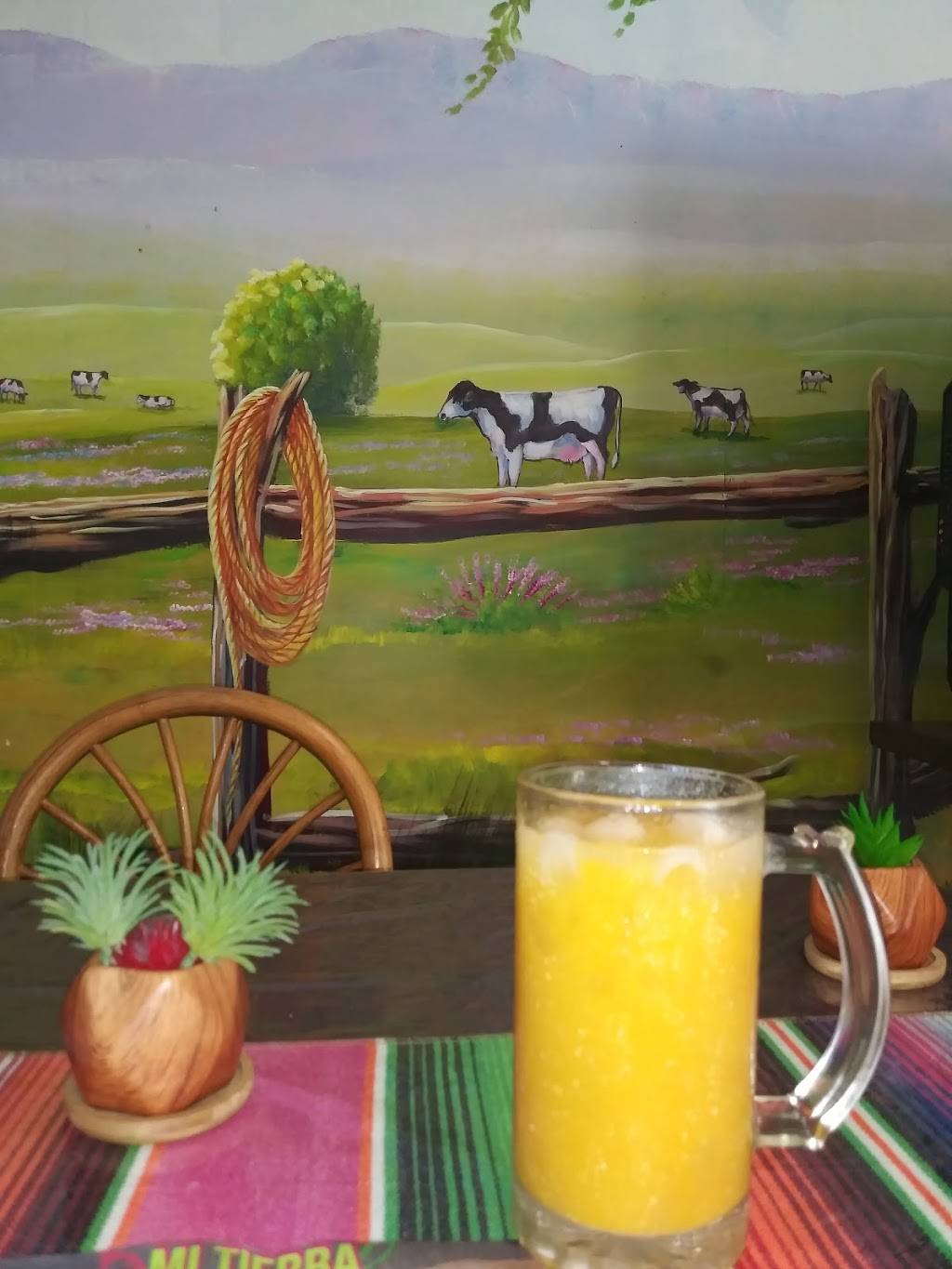 Mi Tierra Mexican Authentic Restaurant | restaurant | 4469 e, IN-10, De Motte, IN 46310, USA | 2193455583 OR +1 219-345-5583