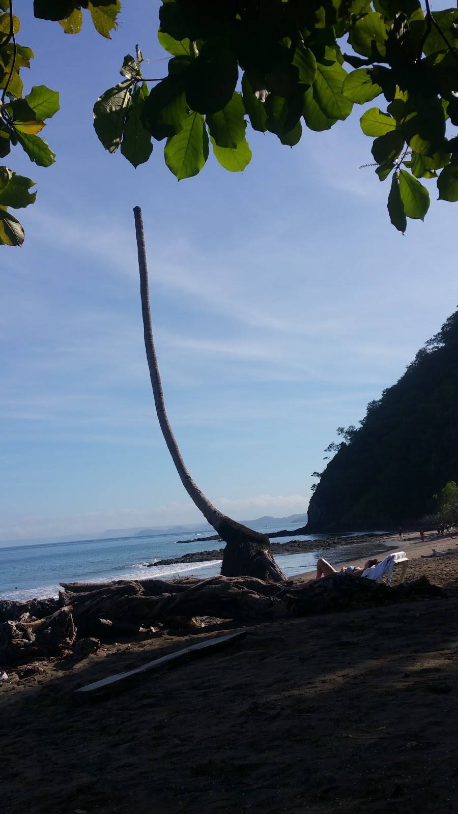 Shandiz Restaurant & Grill | restaurant | 19337 Ventura Blvd, Tarzana, CA 91356, USA | 8182087000 OR +1 818-208-7000