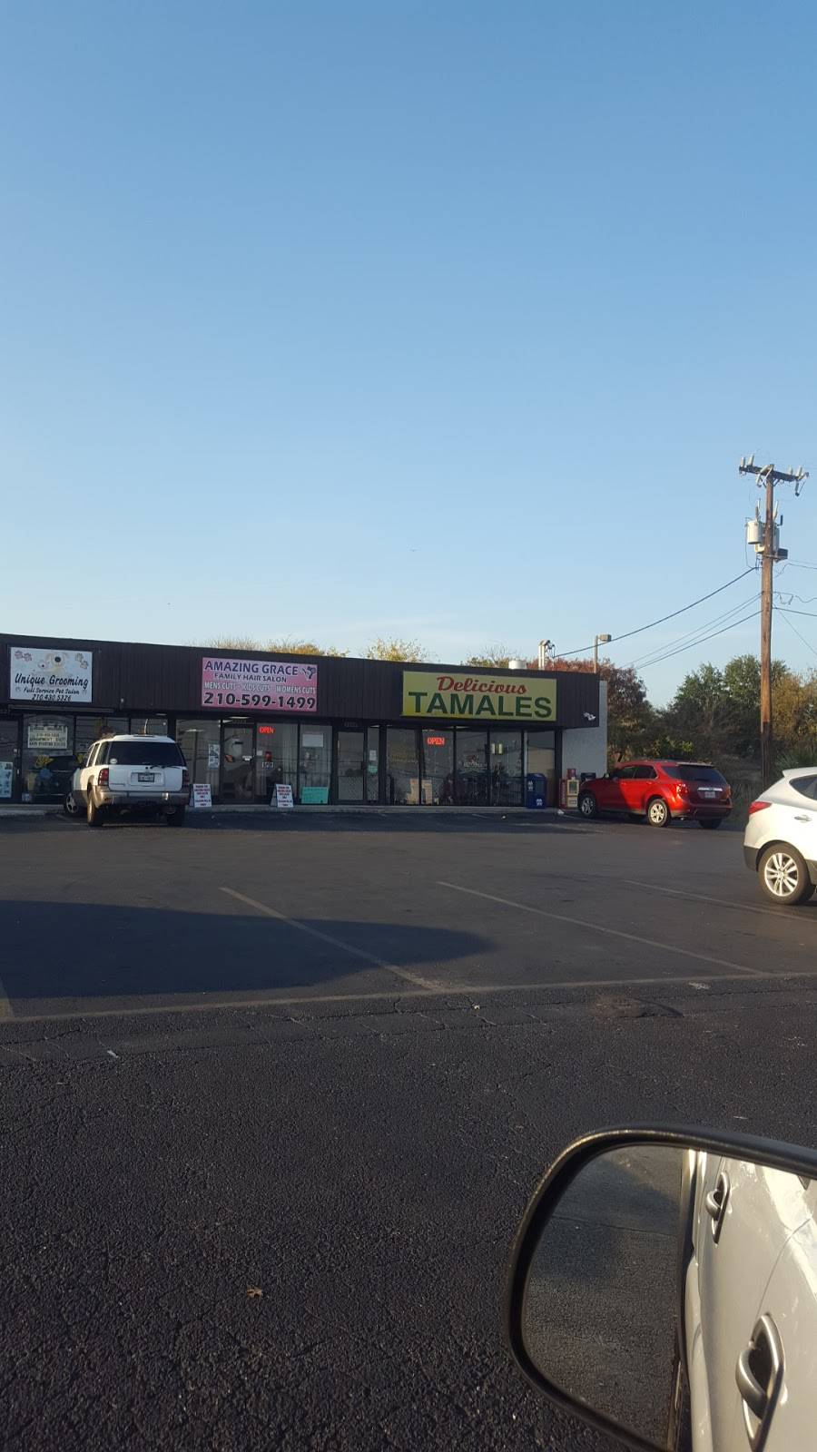 Delicious Tamales | restaurant | 13533 Nacogdoches Rd, San Antonio, TX 78217, USA | 2105902211 OR +1 210-590-2211