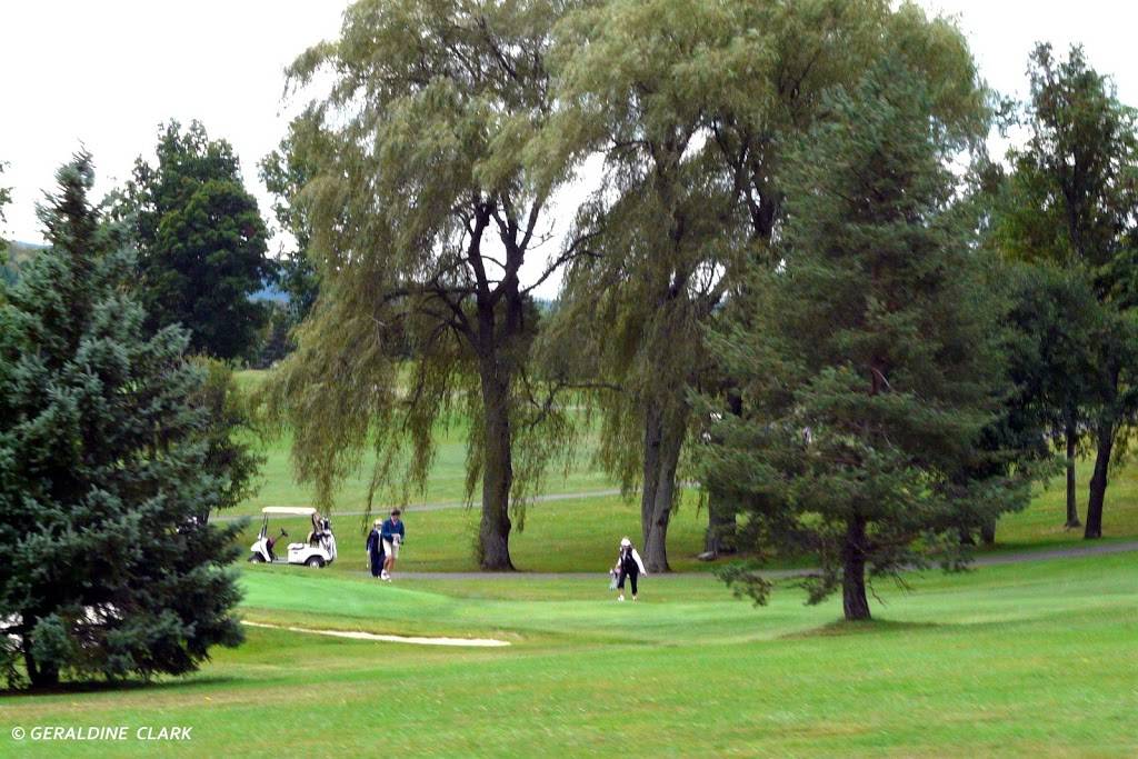 Endwell Greens Golf Course and Event Center | restaurant | 3675 Sally Piper Rd, Endwell, NY 13760, USA | 6077854653 OR +1 607-785-4653