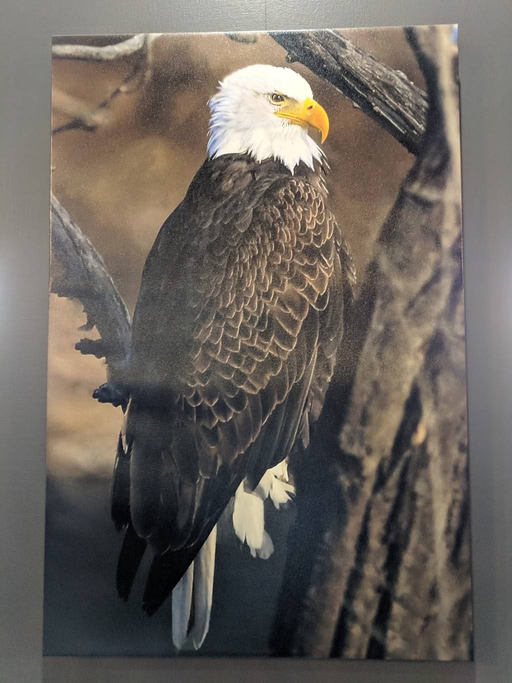 Eagles Nest Pizza | restaurant | 20633 Gas Point Rd # D, Cottonwood, CA 96022, USA | 5303476679 OR +1 530-347-6679