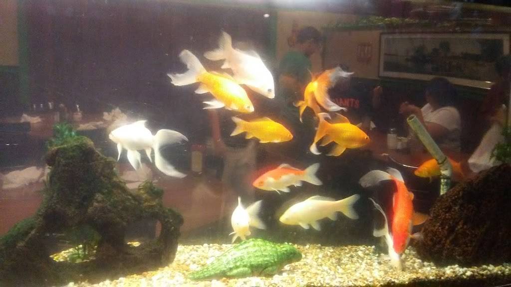 China Garden | restaurant | 2719 Whitson St, Selma, CA 93662, USA | 5598963633 OR +1 559-896-3633