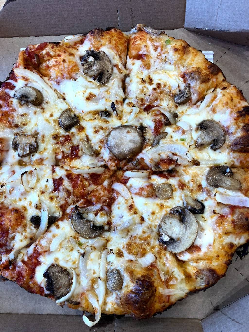 Dominos Pizza | meal delivery | 2601 Plymouth Rd, Ann Arbor, MI 48105, USA | 7346633333 OR +1 734-663-3333