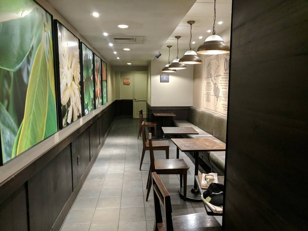 Starbucks | cafe | 607 Brighton Beach Ave, Brooklyn, NY 11235, USA | 7189343211 OR +1 718-934-3211