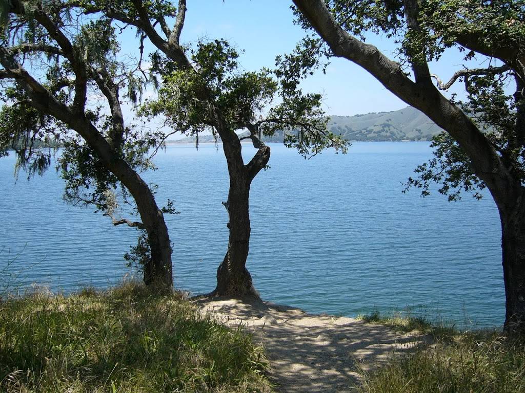 HOOKd Bar and Grill | restaurant | 2225 CA-154, Santa Barbara, CA 93105, USA | 8053508351 OR +1 805-350-8351