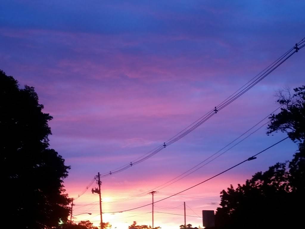 Mynt Fusion Bistro | restaurant | 800 W Main St, Lowell, MI 49331, USA | 6169879307 OR +1 616-987-9307