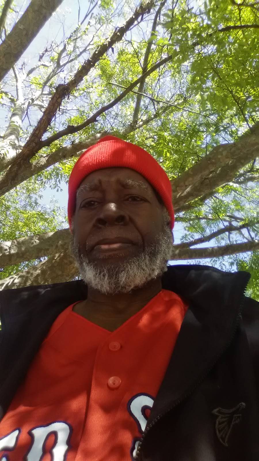 Dream Wings | restaurant | 2292 Cascade Rd SW, Atlanta, GA 30311, USA | 6789748536 OR +1 678-974-8536