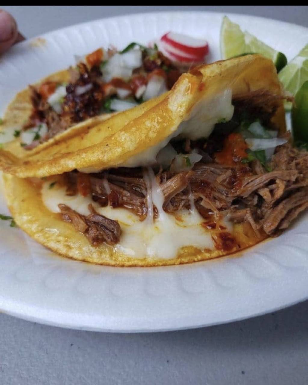 Birrieria Tala Jalisco | restaurant | 505 N Oxford St, Indianapolis, IN 46201, USA | 3173841065 OR +1 317-384-1065