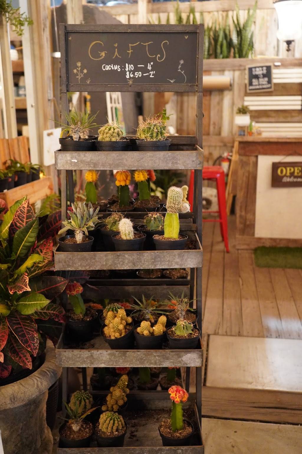 Nomade_miami | restaurant | 7251 Biscayne Blvd, Miami, FL 33138, USA | 7865852750 OR +1 786-585-2750