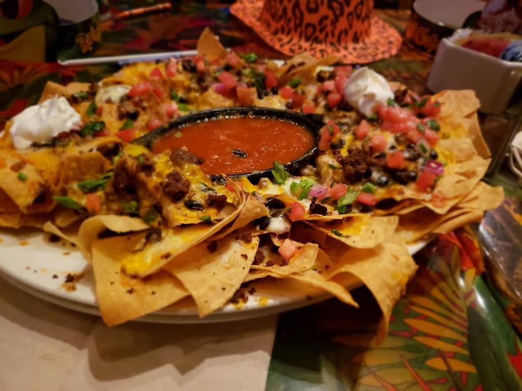 Rainforest Cafe | restaurant | 4310 Baldwin Rd, Auburn Hills, MI 48326, USA | 2483330280 OR +1 248-333-0280