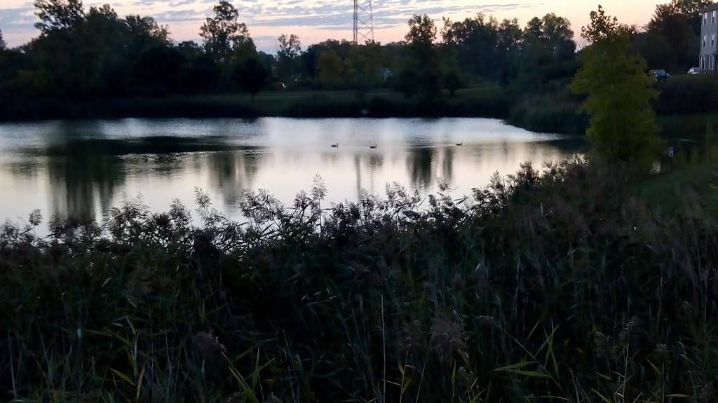 The Bistro – Eat. Drink. Connect.® | restaurant | 42700 W 11 Mile Rd, Novi, MI 48375, USA | 2483801234 OR +1 248-380-1234