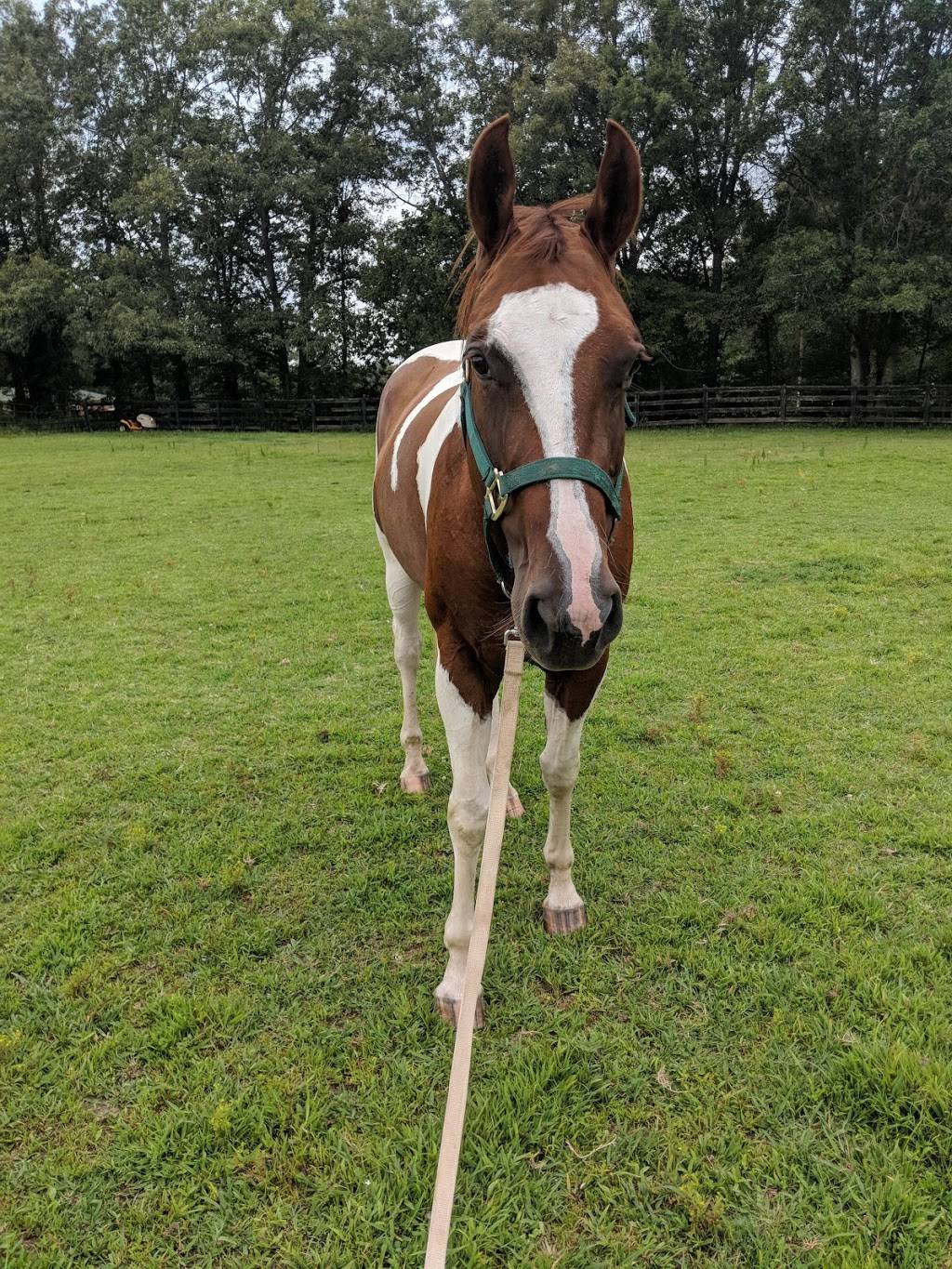 WillowBrook Golf Club | restaurant | 6751 McMinnville Hwy, Manchester, TN 37355, USA | 9317288989 OR +1 931-728-8989