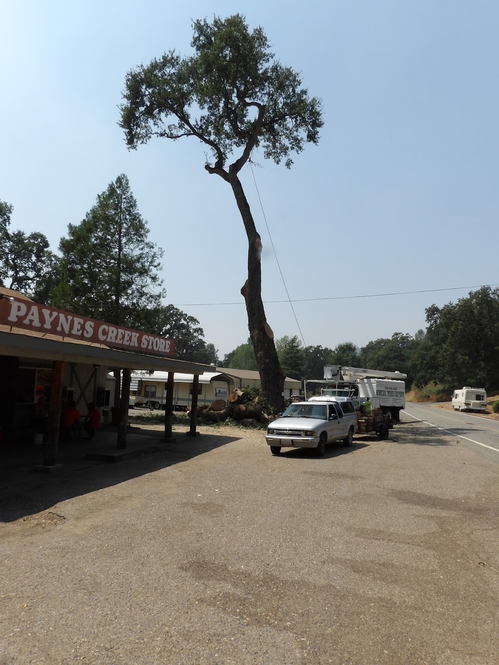 Original Paynes Creek Store and Tavern | restaurant | 29791 Paynes Creek Loop, Paynes Creek, CA 96075, USA | 5305972296 OR +1 530-597-2296