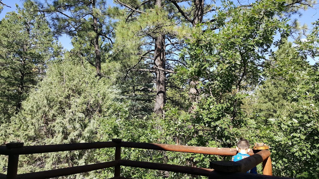 Pendaries Village & Golf Resort | restaurant | 1 Lodge Rd, Rociada, NM 87742, USA | 5054253561 OR +1 505-425-3561