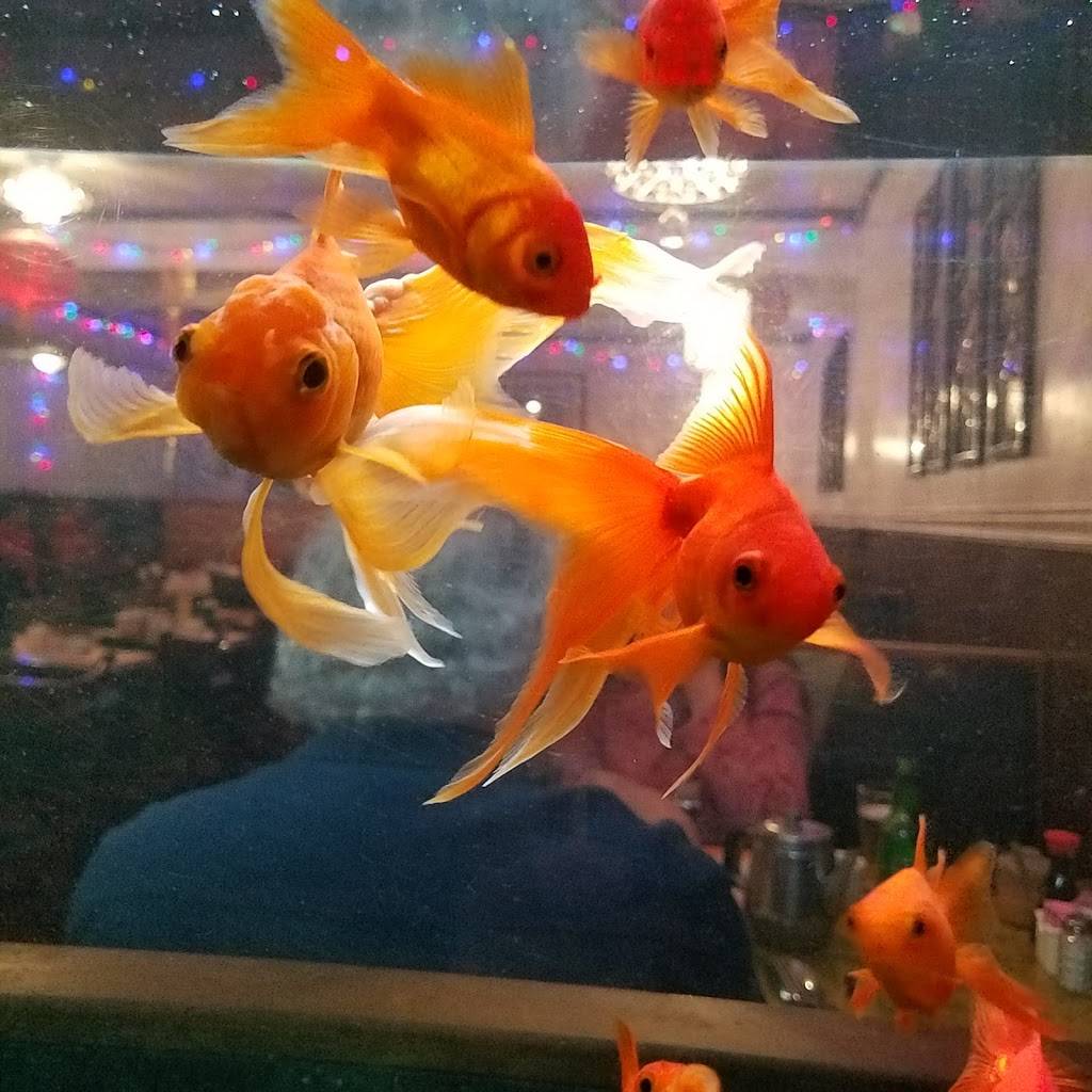 Taste Of Hong Kong Chinese Restaurant | restaurant | 2224 Gulf Gate Dr, Sarasota, FL 34231, USA | 9419226765 OR +1 941-922-6765