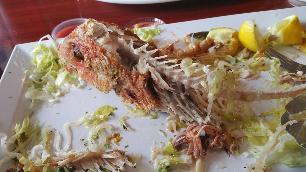 The Latin Grill | restaurant | 3318 John Moore Rd, Brandon, FL 33511, USA | 8136548000 OR +1 813-654-8000