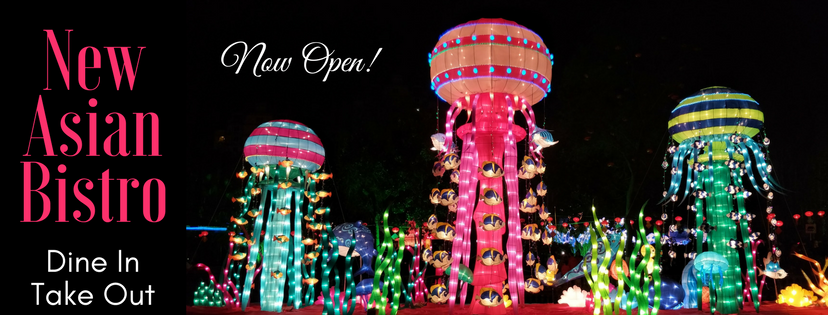 New Asian Bistro | restaurant | Walmart Plaza, 45 Plaza Dr Unit #600, Tamaqua, PA 18252, USA | 5707280189 OR +1 570-728-0189