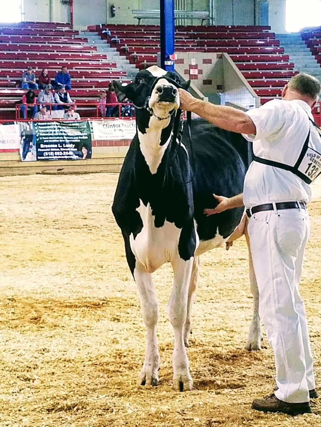 Elba Diner | restaurant | 5 S Main St, Elba, NY 14058, USA | 5857575001 OR +1 585-757-5001