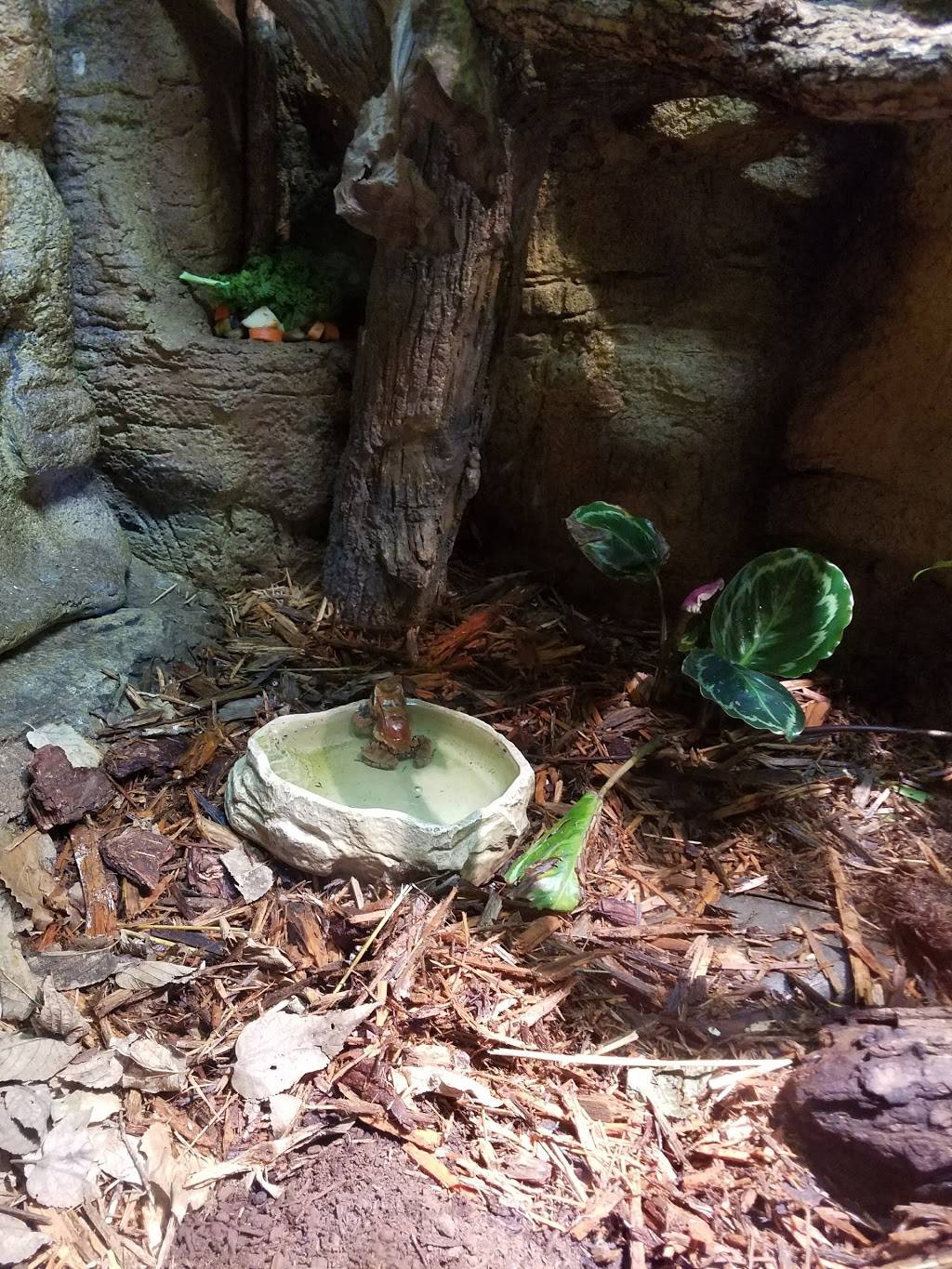 Durham TreeTops Restaurant | restaurant | 3701 S 10th St, Omaha, NE 68107, USA | 4027338401 OR +1 402-733-8401