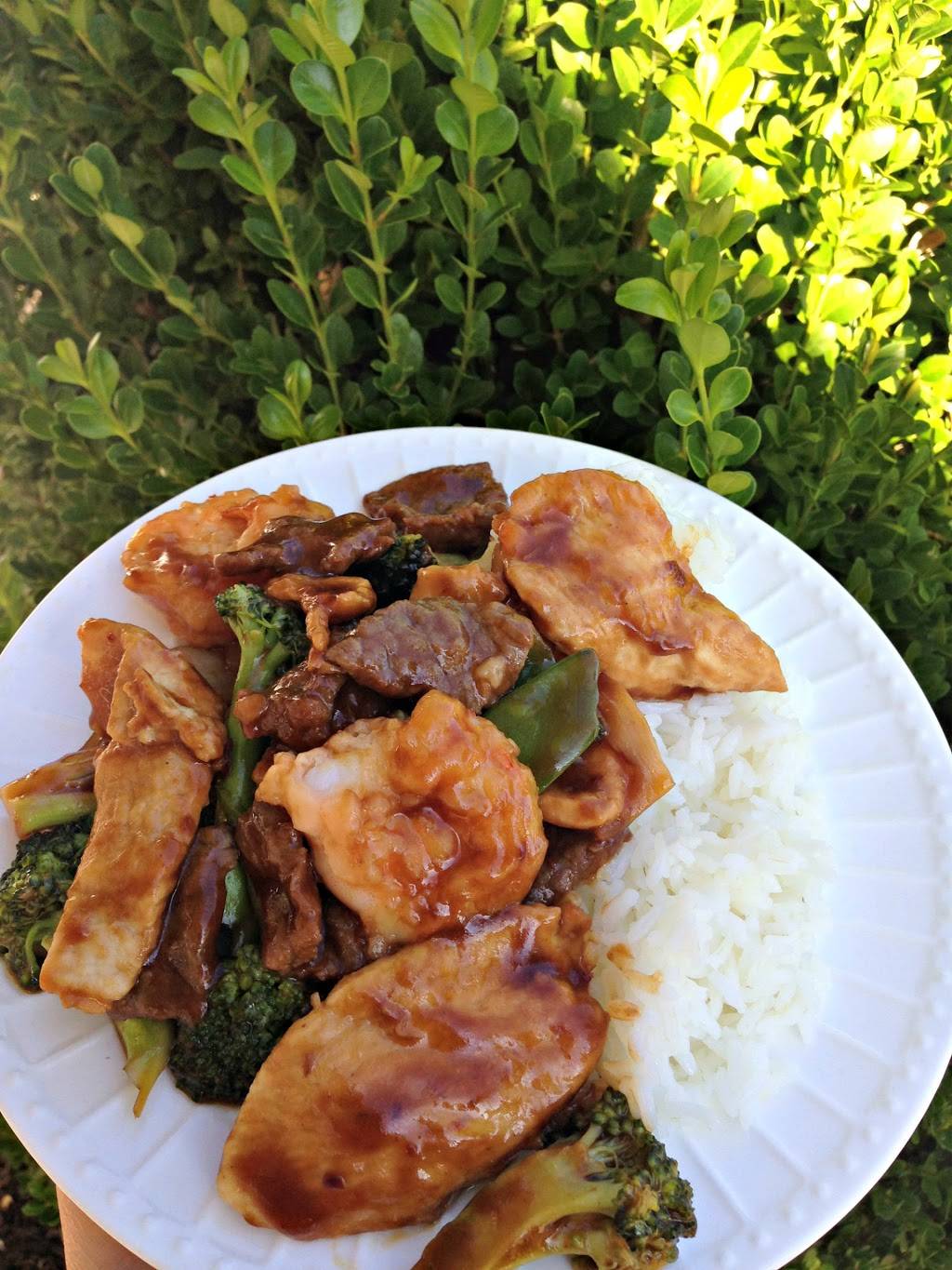 Super China | restaurant | 155 Wooster Road North, Barberton, OH 44203, USA | 3307533663 OR +1 330-753-3663