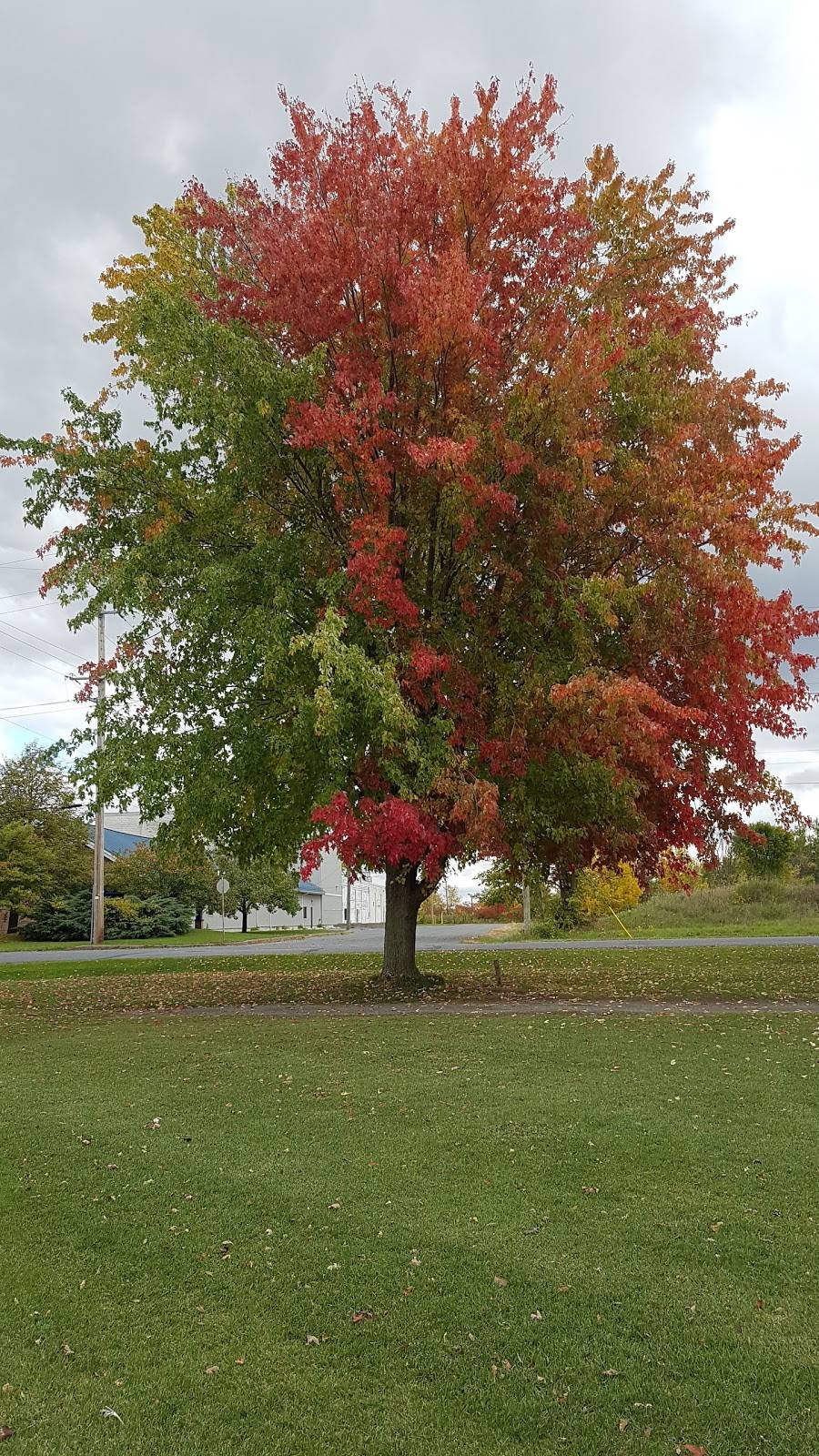 Morrisburg Golf Club | restaurant | 15 Laurier Dr, Morrisburg, ON K0C 1X0, Canada | 6135433282 OR +1 613-543-3282