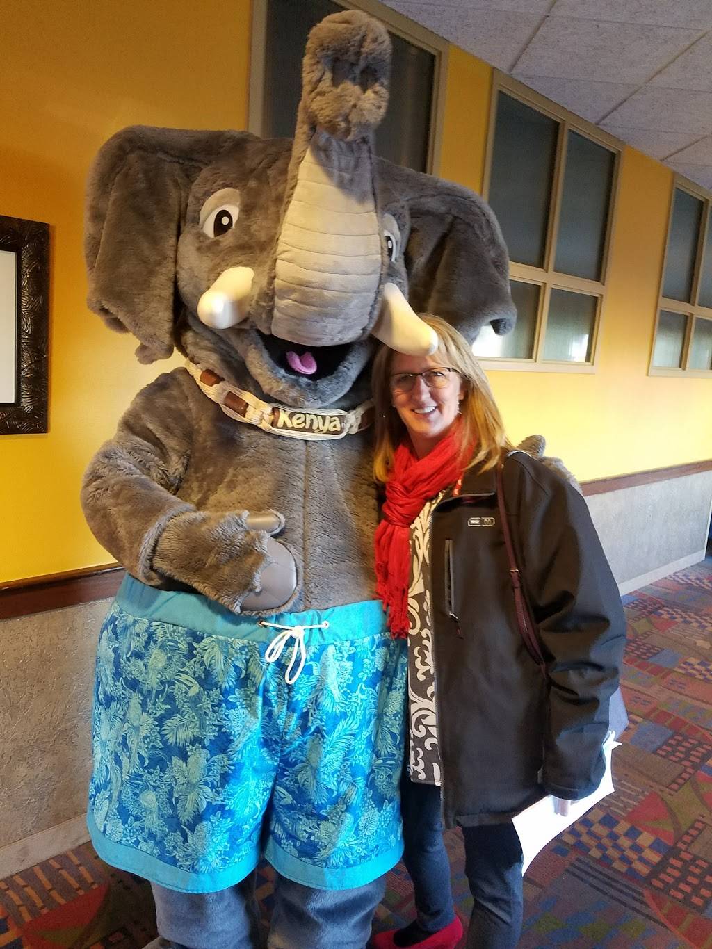 T-Bone Bar & Grill | restaurant | 400 N Central Ave, Marshfield, WI 54449, USA | 7158981035 OR +1 715-898-1035