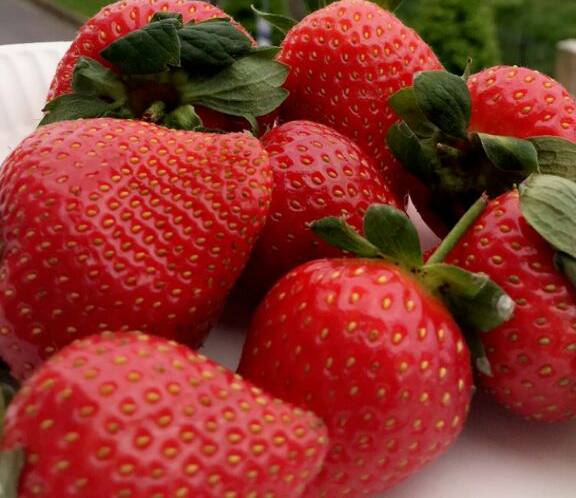 La Costena | restaurant | 235 E Middlefield Rd #1a, Mountain View, CA 94043, USA | 6509670507 OR +1 650-967-0507