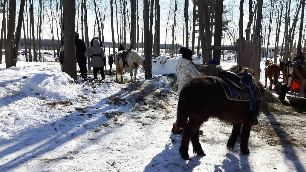 Cabane à Sucre DAmours | restaurant | 427 5e Ave, Sainte-Anne-des-Plaines, QC J0N 1H0, Canada | 4504781377 OR +1 450-478-1377