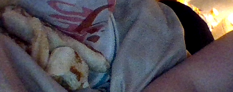 Taco Bell | meal takeaway | 1001 E McGalliard Rd, Muncie, IN 47303, USA | 7652152065 OR +1 765-215-2065