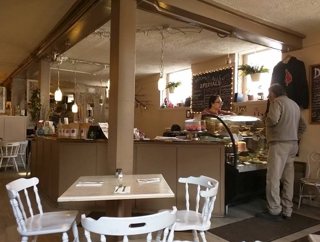 The Red Fern | restaurant | 283 Oxford St, Rochester, NY 14607, USA | 5855637633 OR +1 585-563-7633