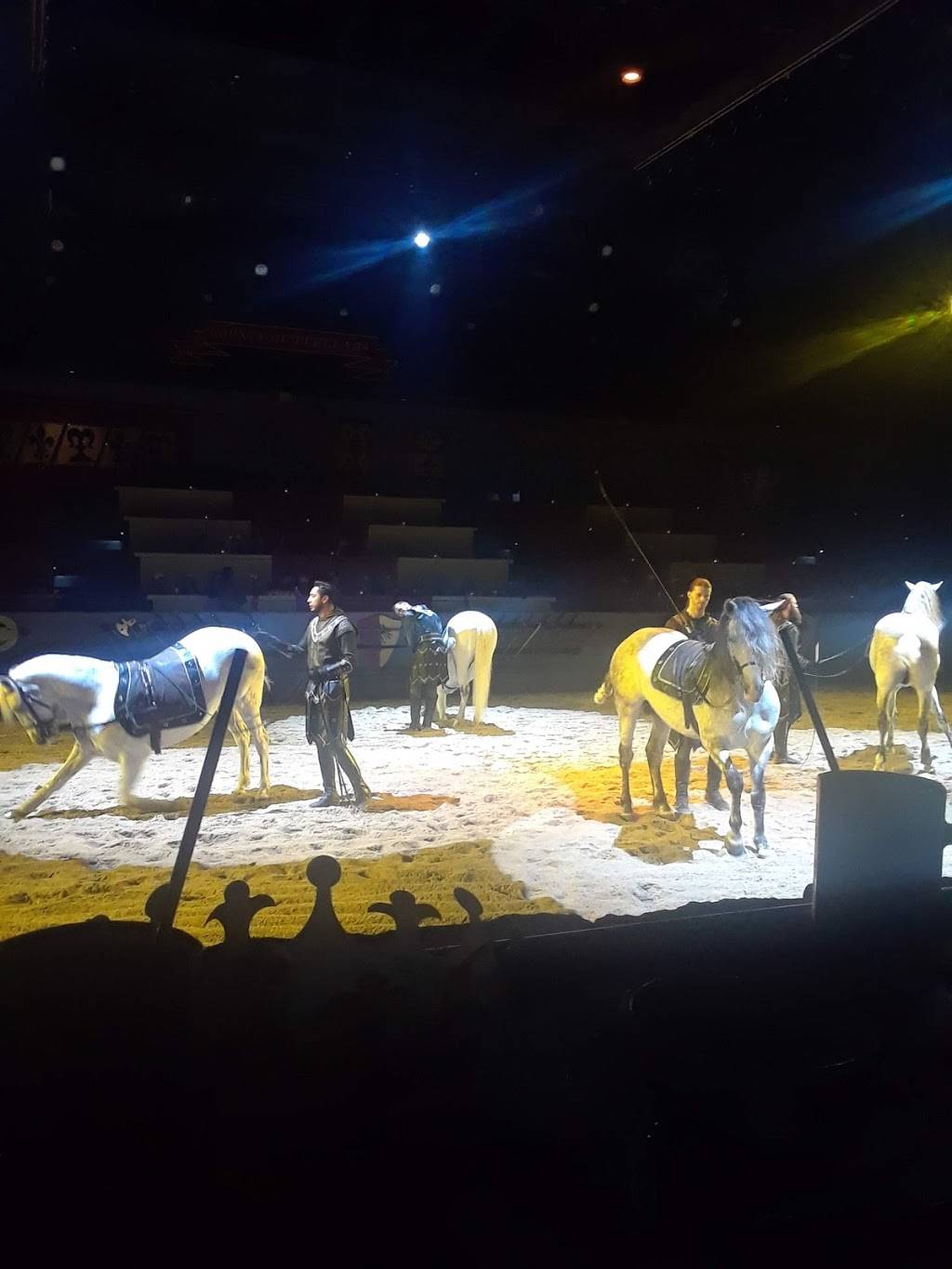 Medieval Times Dinner & Tournament | restaurant | 2021 N Stemmons Fwy, Dallas, TX 75207, USA | 2147611801 OR +1 214-761-1801