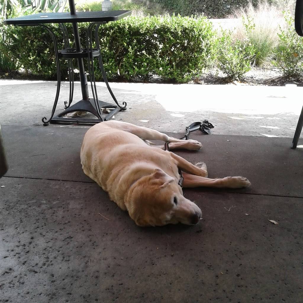 Bagel Shack | cafe | 31876 Del Obispo St #1, San Juan Capistrano, CA 92675, USA | 9494888023 OR +1 949-488-8023