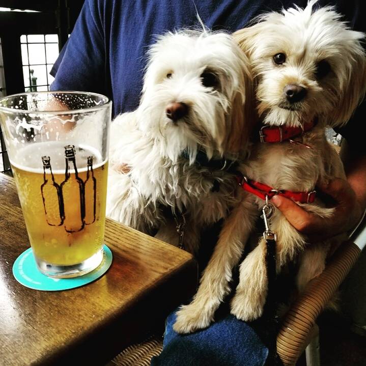 The Bottle Room | restaurant | 6741 Greenleaf Ave, Whittier, CA 90601, USA | 5626968000 OR +1 562-696-8000